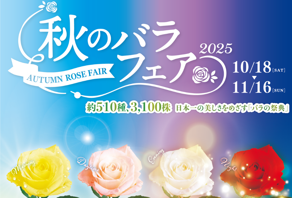 花空さま専用（原画）秋夜の森の祝福 #3　ほか　3点おまとめ ひかりの森～夜の芸術散歩～ - ウォーターサーバー 六甲の天然水マロッ