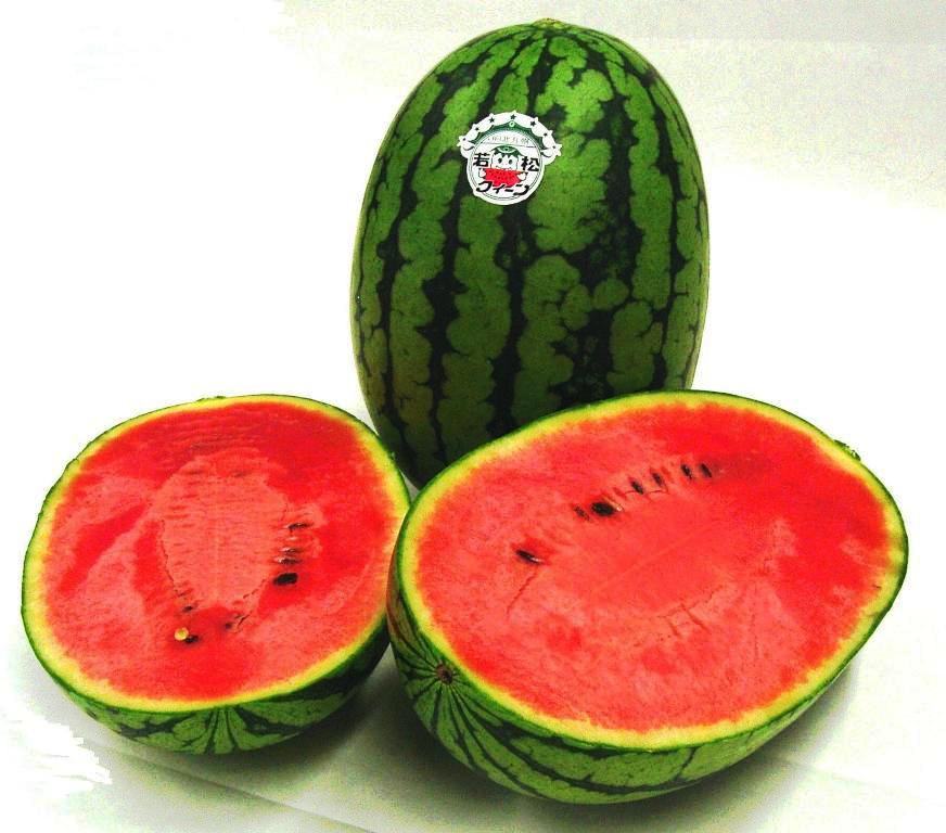 すいか｜スポット｜若松区観光・イベント情報サイト わかまつインフォ